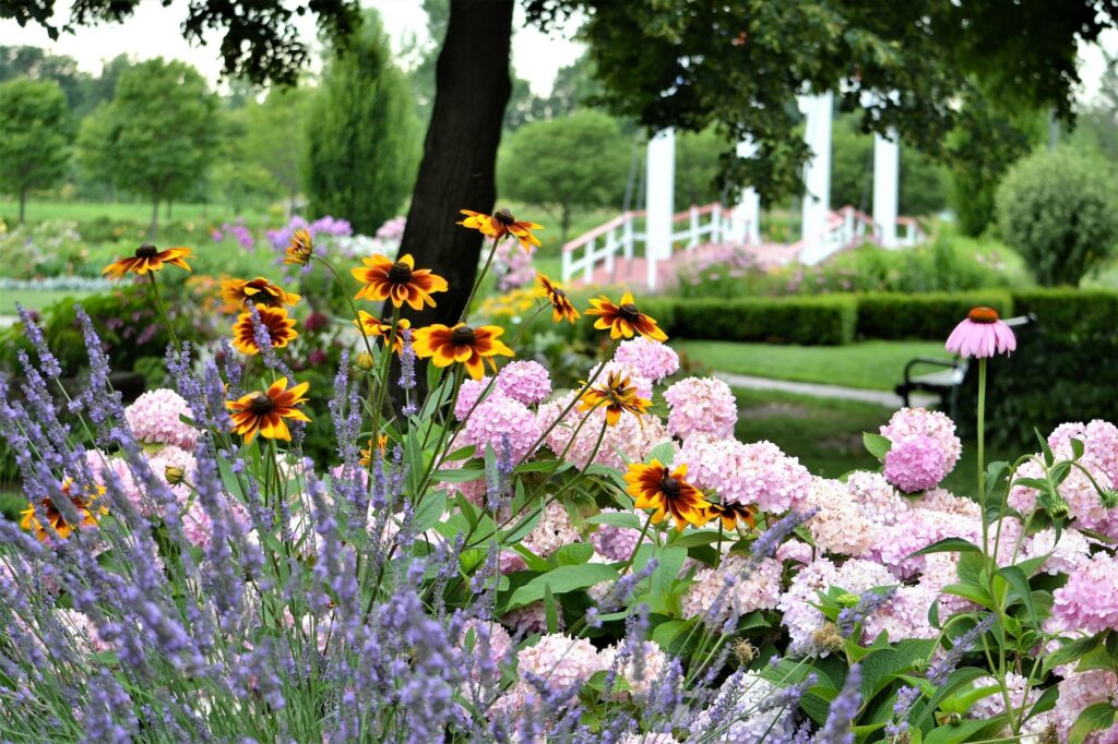 Summer flower garden