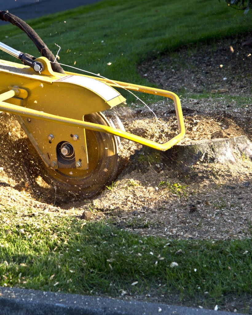 Grinding Tree Stump with Grinder.